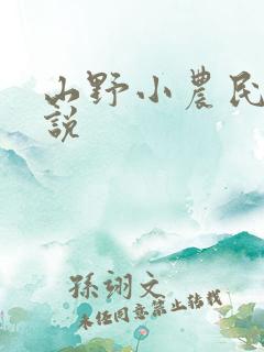 山野小农民 小说