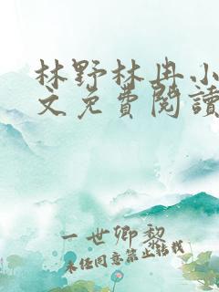 林野林冉小说全文免费阅读最新章节
