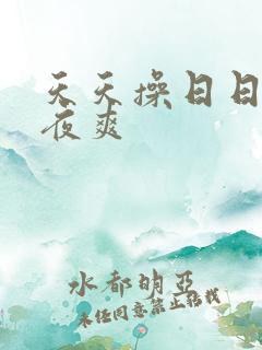 天天操日日操夜夜爽