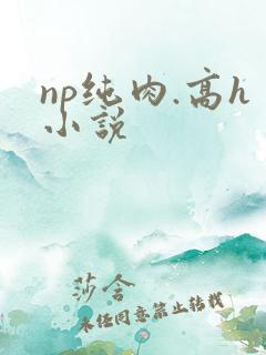 np纯肉.高h小说