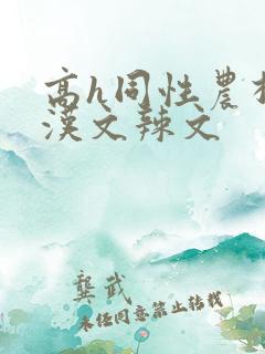 高h同性农村壮汉文辣文