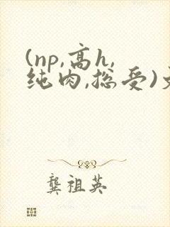 (np,高h,纯肉,总受)文