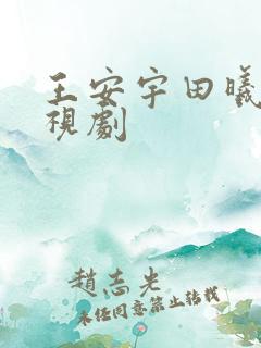 王安宇田曦薇电视剧