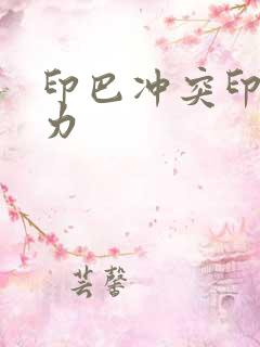 印巴冲突印度实力