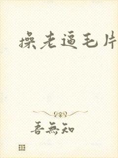 操老逼毛片