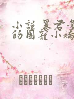 小说 暴君爹爹的团宠小娇包
