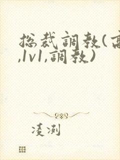 总裁调教(高h,1v1,调教)