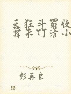 天狂斗罗收服小舞朱竹清小说