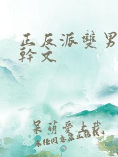 正反派双男主高干文