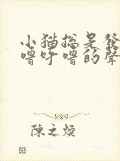 小猫总是发出呼噜呼噜的声音是怎么回事