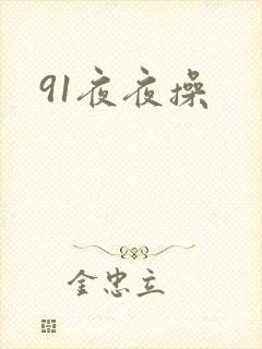 91夜夜操