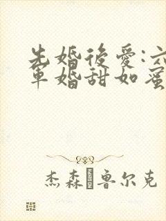 先婚后爱:六零军婚甜如蜜免费阅读全文