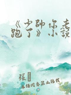 《少帅你老婆又跑了》小说