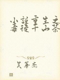 小说重生之将门毒后千山茶客最新篇章