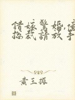 错嫁惊婚,亿万总裁请放手