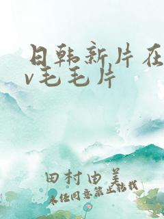 日韩新片在线av毛毛片