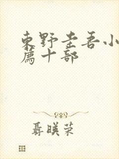 东野圭吾小说推荐十部