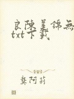 良陈美锦无删减txt下载
