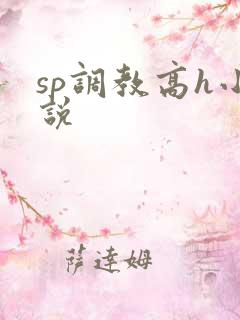 sp调教高h小说