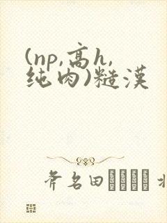 (np,高h,纯肉)糙汉