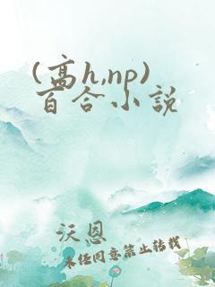 (高h,np)百合小说