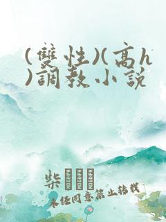 (双性)(高h)调教小说