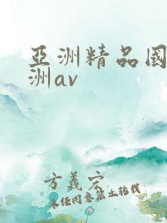 亚洲精品国产亚洲av