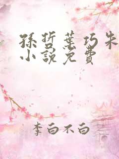 孙哲叶巧朱颜的小说免费