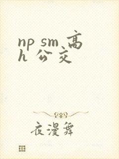 np sm 高h 公交