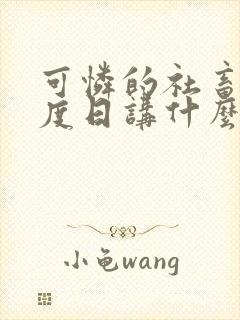 可怜的社畜 东度日讲什么