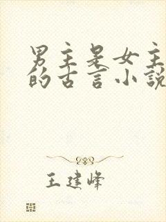 男主是女主小叔的古言小说
