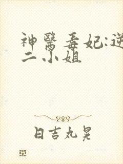 神医毒妃:逆天二小姐