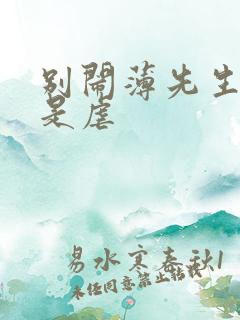 别闹薄先生甜还是虐