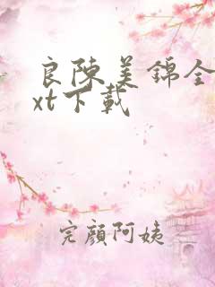 良陈美锦全本txt下载