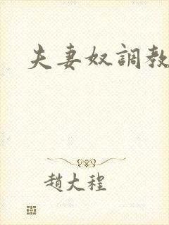 夫妻奴调教经历