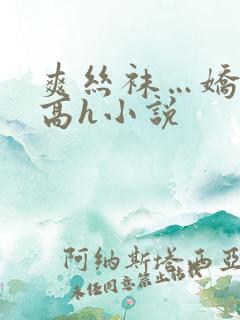 爽丝袜…娇妻快高h小说