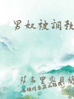 男奴被调教小说