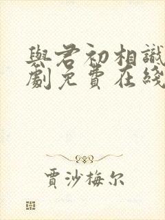 与君初相识电视剧免费在线观看完
