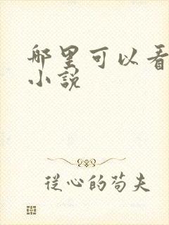 哪里可以看百合小说