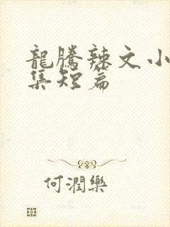 龙腾辣文小说合集短篇