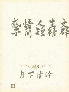 感悟人生文案句子简短精辟