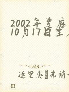 2002年农历10月17日生辰八字