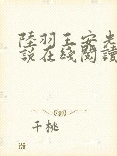 陆羽王安光的小说在线阅读无弹窗