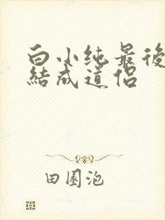 白小纯最后和谁结成道侣