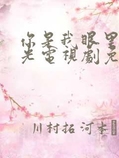你是我眼里的星光电视剧免费观看