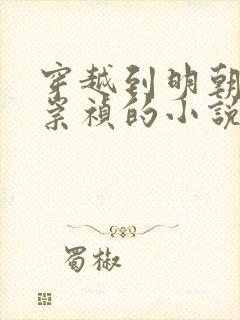 穿越到明朝成为崇祯的小说