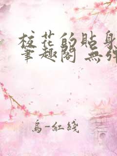 校花的贴身高手笔趣阁 无弹窗