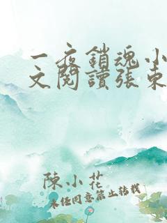 一夜销魂小说全文阅读张东和徐晚晴