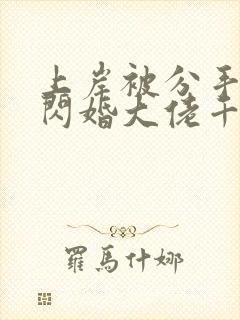 上岸被分手后我闪婚大佬千金
