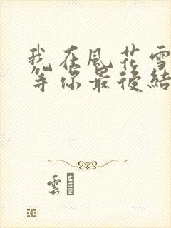 我在风花雪月里等你最后结局
